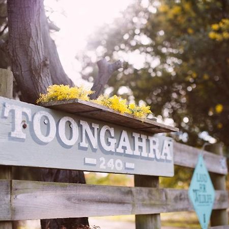 Torquaytoongahra Bnb Exteriör bild